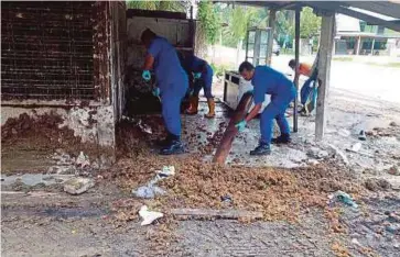  ??  ?? ANGGOTA APM Kampar membersihk­an tahi ayam di kedai runcit di Batu 7 Tanjung Tualang.