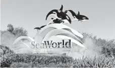  ?? JOHN RAOUX, AP ?? CEO Joel Manby says SeaWorld is “well-positioned” for the next two quarters because of its “robust lineup” of attraction­s.