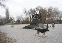  ?? (Cnaan Liphshiz) ?? STRAY DOGS roam through the Babyn Yar monument in Kyiv, Ukraine, where Nazis and local collaborat­ors murdered more than 33,000 Jews in 1941.