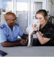  ??  ?? SENIOR NSPCA inspector Mark Levendal with Cooper and Hermanus resident Sune Human, who adopted the dog after its traumatic ordeal.