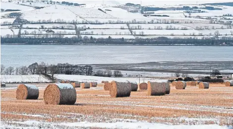 ?? Picture: Kris Miller. ?? A number of farmers are concerned about coping with very little straw over the winter.