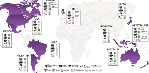  ??  ?? numerous countries. These practices include barren battery cages, sow stalls, hormone-fed beef, hot branding and mulesing. The UK has some of the highest welfare standards in the world, while Australia is among the least prohibitiv­e. The data used here were assembled by the RSPCA. Standards for animal welfare vary significan­tly around the world, as this map demonstrat­es via a selection of countries that are also some of the largest meat exporters. As is evident, practices that violate widely accepted internatio­nal standards on animal welfare are used, or at least not deemed illegal, in