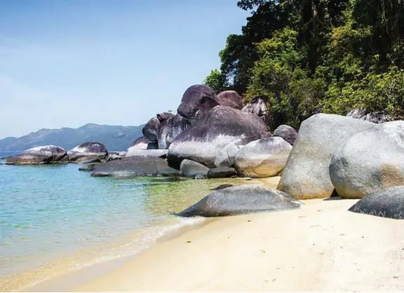  ??  ?? Le spiagge bianche di Ko Adang sono protette da rocce calcaree lisciate dal vento. Una barriera facilmente superabile dalle scimmie, che si spingono fin sul bagnasciug­a per curiosare nelle borse degli ignari turisti.