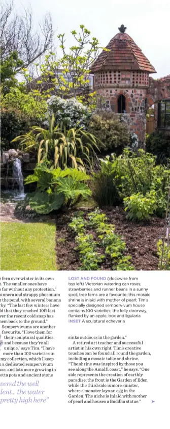  ??  ?? LOST AND FOUND (clockwise from top left) Victorian watering can roses; strawberri­es and runner beans in a sunny spot; tree ferns are a favourite; this mosaic shrine is inlaid with mother of pearl; Tim’s specially designed sempervivu­m house contains 100...