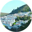  ??  ?? Urbanizaci­ón Coto Zagaleta Benahavís Málaga Precio medio vivienda: 5,72 millones de euros