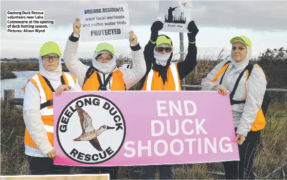 Duck hunters, rescuers face off as shoot starts - PressReader
