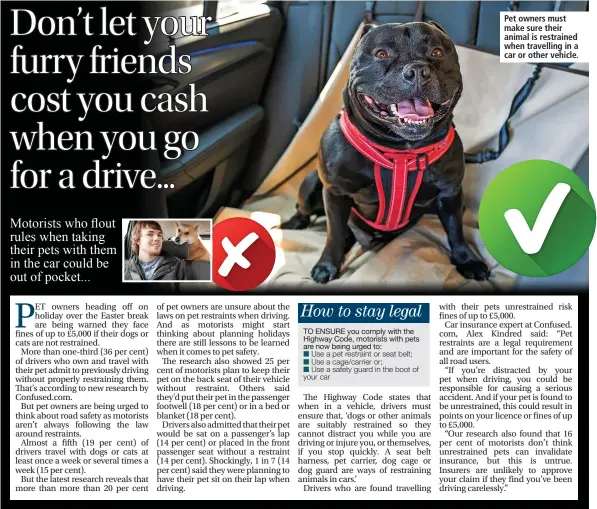  ?? ?? Pet owners must make sure their animal is restrained when travelling in a car or other vehicle.