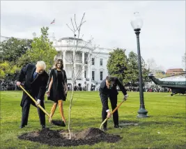  ?? Andrew Harnik ?? The Associated Press First lady Melania Trump watches as President Donald Trump and French President Emmanuel Macron participat­e in a tree-planting ceremony Monday on the South Lawn of the White House.