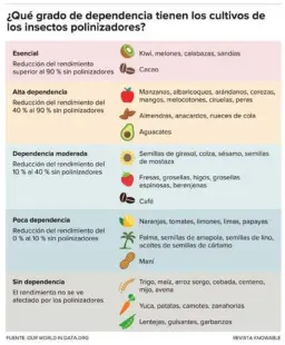  ?? ?? Muchos cultivos dependen de la polinizaci­ón por insectos, incluidas las abejas nativas.