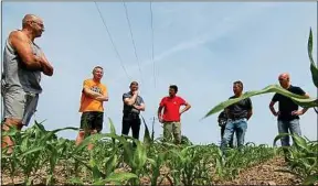  ??  ?? Des agriculteu­rs réunis au milieu d’un champ de maïs, à Cesson-Sévigné.