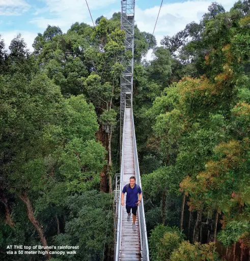  ??  ?? AT THE top of Brunei’s rainforest via a 50 meter high canopy walk
