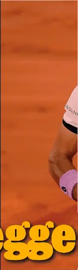 RIMPIANTI BERRETTINI SPAVENTA DJOKOVIC MA CEDE NEL ...