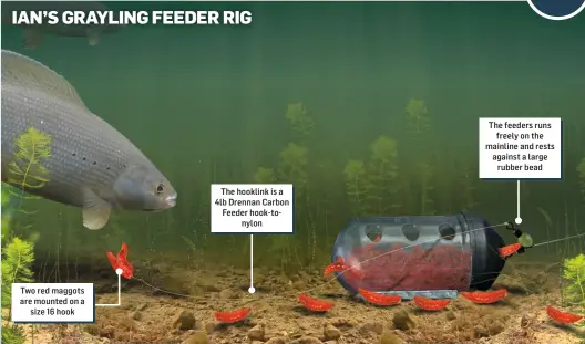  ??  ?? The hooklink is a 4lb Drennan Carbon Feeder hook- tonylon
The feeders runs freely on the mainline and rests against a large rubber bead