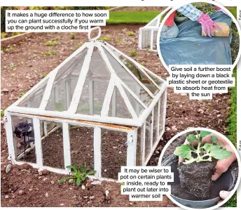  ??  ?? It makes a huge difference to how soon you can plant successful­ly if you warm up the ground with a cloche first
