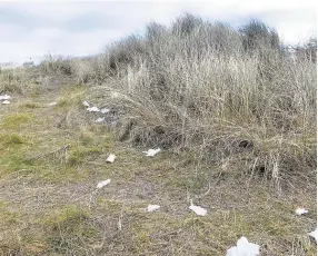  ??  ?? Dumped Little heaps of toilet roll scattered on the dunes