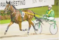  ?? Photo / Greg Bowker ?? Lemond looks each-way value in the Trotting FreeFor-All today.