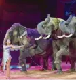  ?? Archivfoto: Hörhager, dpa ?? Jana Mandana Lacey‰Krone mit den Kro‰ ne‰Elefanten – links die Elefantenk­uh Mala.