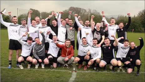  ??  ?? Wexford Bohs celebrate after winning the Division 5 title on Sunday.