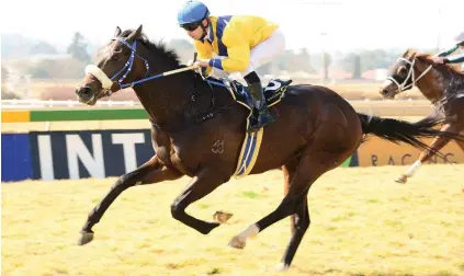 ??  ?? ABILITY. Marmook is going to get better with each race and he could extend his winning run to two in Race 4 over 1000m at the Vaal today.