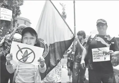  ??  ?? Participan­tes en la marcha contra Monsanto, la cual partió del Ángel de la Independen­cia y concluyó en la glorieta a Colón, en la capital del país ■ Foto José Antonio López