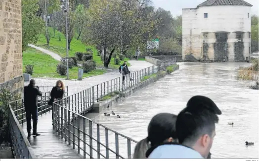  ?? JUAN AYALA ?? El río Guadalquiv­ir, muy crecido en Córdoba capital la pasada semana.