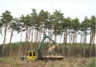  ?? (Annegret Hilse/Reuters) ?? A WORKER clears trees at the area near Berlin where US electric vehicle pioneer Tesla plans to build a Tesla Gigafactor­y.