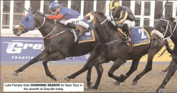  ?? Luke Ferraris rides CHANGING SEASON for Sean Tarry in the seventh at Greyville today. ??