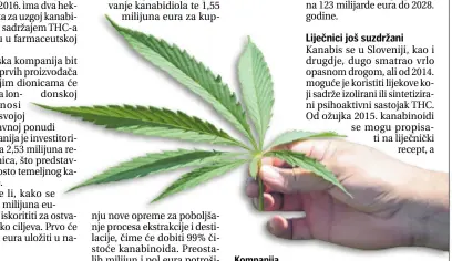  ?? MARKO JURINEC/
PIXSELL ?? Kompanija u Sjevernoj Makedoniji na dva hektara uzgaja kanabis s visokim sadržajem THC-a