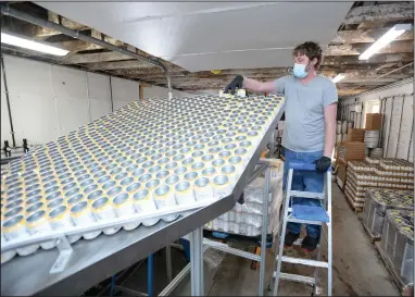  ?? (NWA Democrat-Gazette/Andy Shupe) ?? Jason Kramer, production executive at Black Apple, sends empty cans down a chute Tuesday as he operates a canning machine at the cidery at 321 E. Emma Ave. in Springdale. Black Apple is beginning to distribute its line of hard cider in Oklahoma. Visit nwaonline. com/210307Dail­y/ for today’s photo gallery.