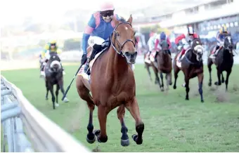  ??  ?? After discussion­s with the owners of Captain America, seen here winning the Gold Challenge over the weekend at Greyville, Crawford Racing has decided to withdraw him from the Vodacom Durban July. He was being quoted as a 14-1 shot, having shortened from 33’s after Saturday's victory. Previously rated 116, the additional penalty of around a 1kg that he’s just received for that win made The July a difficult task.