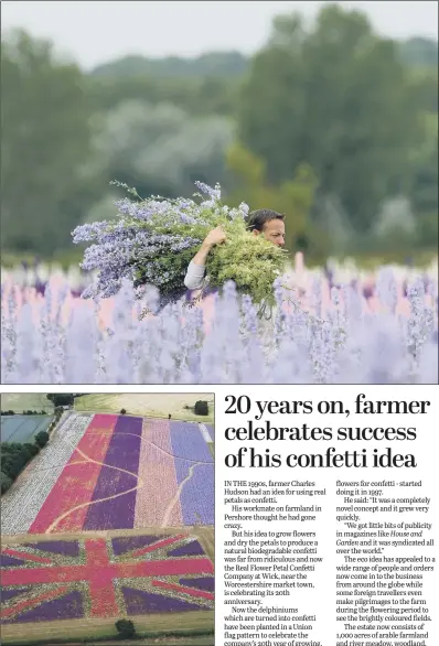  ?? PICTURES: JOE GIDDENS/PA. ?? PLANS: A workers picks the delphinium­s to become confetti, top. Above, the flowers planted in a Union flag pattern.