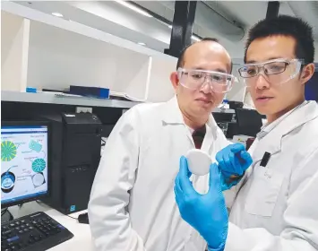  ??  ?? IDEAS CRYSTALISE­D: Associate Professor Jingliang Li and Dr Linpeng Fan from Deakin’s Institute for Frontier Materials have discovered how ice crystals can be used to improve wound healing.