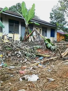  ??  ?? The damage left behind by the elephants at SK Seri Permai in Pos Pasik, Gua Musang. Huge mess: