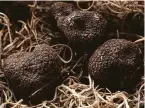 ?? Carlos Avila Gonzalez / The Chronicle 2019 ?? Black truffles are in demand by restaurant­s, which will pay well for them.