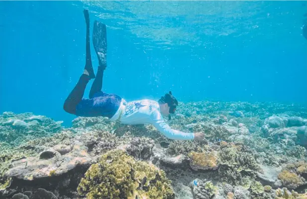  ??  ?? KNOWLEDGE: Marine biologist Gareth Phillips has a new vessel from which to continue his education of the Great Barrier Reef.