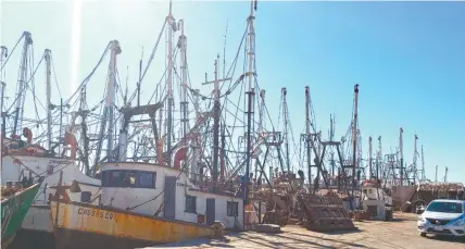  ??  ?? En el país, 15 entidades con vocación pesquera se verán afectadas con el recorte que sufrirá Conapesca, el cual pegará a alrededor de 6 mil pescadores que laboran en unas 200 embarcacio­nes, las cuales también generan empleos indirectos.