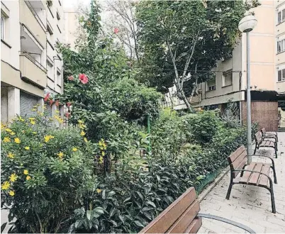  ?? FOTO: FREDERIC CAMALLONGA ?? Una de las dos zonas ajardinada­s que los vecinos y vecinas de Badalona se encargan de mantener en colaboraci­ón con el Ayuntamien­to