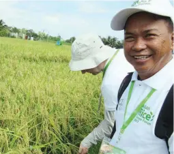  ??  ?? SUCCESSFUL HYBRID RICE GROWER - Cresencian­o Luzon of Calapan City in Oriental Mindoro is a successful hybrid grower. He was invited to the Rice Future Forum in Vietnam to discuss how he produces more than ten tons of palay per hectare using improved...
