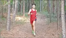  ?? Tim Godbee ?? The Sonoravill­e cross country boys team wrapped up their season last week in the AAA Region 6 meet in Dalton.