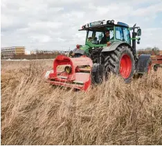  ?? Foto: Klaus Rainer Krieger ?? Ein Traktor räumt auf: Was auf der sogenannte­n Flugplatzh­eide in Haunstette­n pas sieren sollte, sorgte für Kontrovers­en.