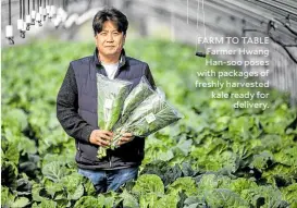  ?? ?? FARM TO TABLE Farmer Hwang Han-soo poses with packages of freshly harvested kale ready for delivery.