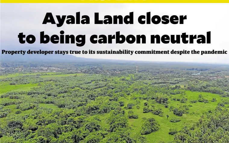  ??  ?? Some 25,000 trees have been planted across 24 hectares of these carbon forests last year.