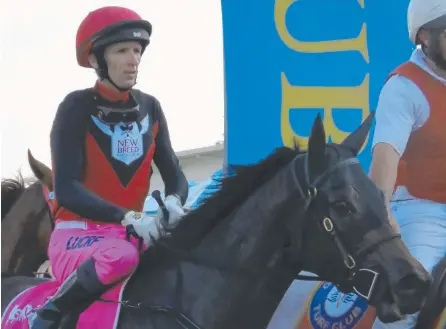  ??  ?? Jockey Scott Galloway returns to the parade yard on Charlie Cat after winning the Pink Ribbon Cup.