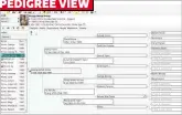  ??  ?? Pedigree view is common, but it limits you to viewing only direct ancestors