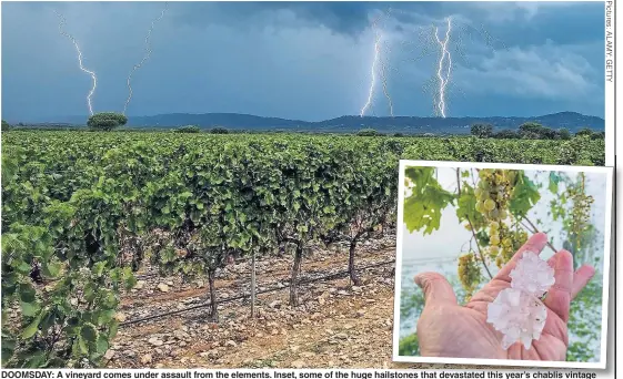  ??  ?? DOOMSDAY: A vineyard comes under assault from the elements. Inset, some of the huge hailstones that devastated this year’s chablis vintage