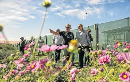  ?? /David Harrison ?? Sense of purpose: The Spring Foundation’s Brian Joffin shows Western Cape Premier Helen Zille the vegetable garden at Lentegeur Hospital. Patients who work there are calmer and more focused.