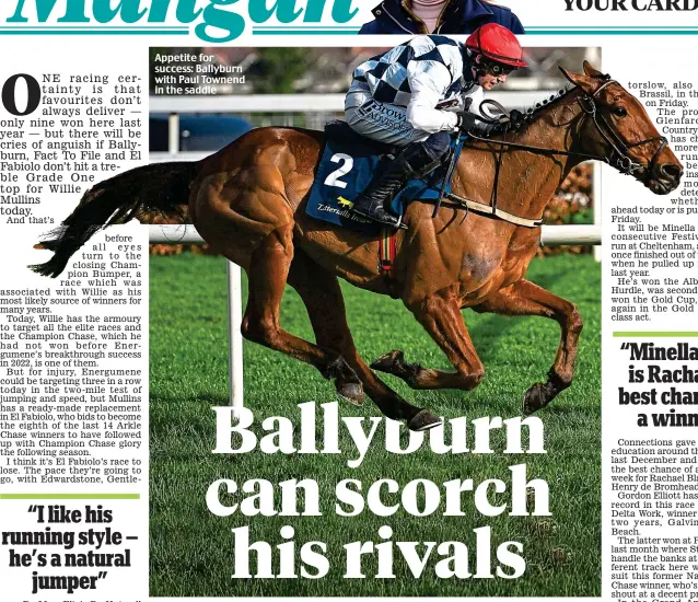  ?? ?? Appetite for success: Ballyburn with Paul Townend in the saddle