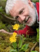  ??  ?? (Above) National park expert Rhodri Thomas with the leek-coloured hawkweed. (Below) The round-headed rampion.