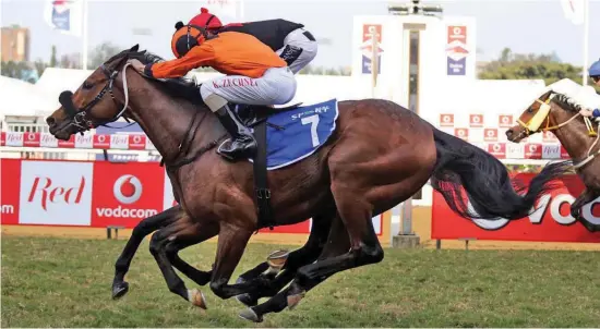  ??  ?? THREE RUNNERS. Trainer Weiho Marwing has three runners in the R2-million Sansui Summer Cup at Turffontei­n on Saturday next week, including his “golden” boy, Hermoso Mundo.