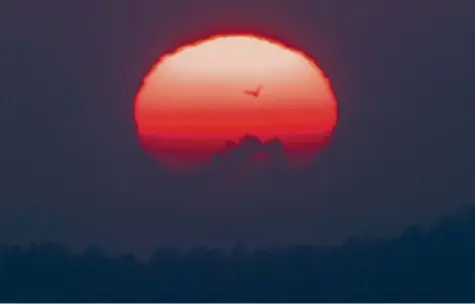  ?? Symbolfoto: Peter Kneffel, dpa ?? Am Mittwoch stellte Bayerns Umweltmini­ster Thorsten Glauber (Freie Wähler) den Klima‰Report 2021 vor. Die Ergebnisse für die weitere Entwicklun­g der Temperatur­en und Niederschl­äge sind teils erschrecke­nd.